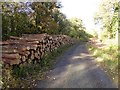 SO9245 : Forestry work in Tiddesley Wood by Philip Halling