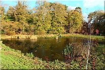 NS5320 : Pond, Dumfries House Estate by Billy McCrorie