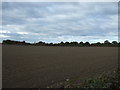 Field west of Bradfield Green