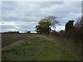 Farm track near Leighton Hall Farm