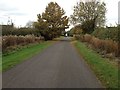 Badger Lane, Lower Tysoe