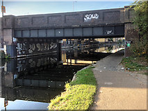 TQ3685 : Lee Navigation, Eastway Bridge by David Dixon