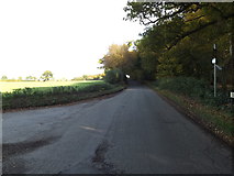 TL2015 : Codicote Road, Ayot St.Peter by Geographer