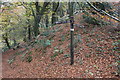 Sirhowy Valley Walk signpost, Craig-goch