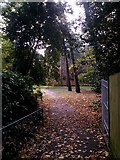 SZ0791 : Bournemouth: footpath B02 arrives on the Gardens by Chris Downer