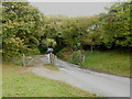 Cattle grid on the edge of the common at North Bowda