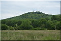 View towards Arn Hill Down