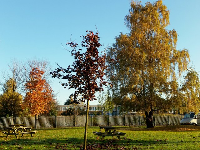 Green space on an industrial estate
