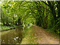 Monmouthshire & Brecon Canal heading north