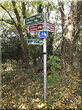 TL1614 : Lea Valley Walk Bridleway sign by Geographer
