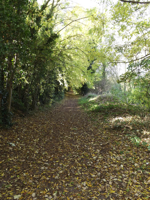 Lea Valley Walk Bridleway to Batford... © Adrian Cable cc-by-sa/2.0 ...