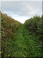 Footpath above Little Lizzen