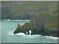 SR9994 : Rock arches, Stackpole by Humphrey Bolton