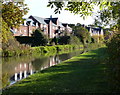 Houses next to the Ashby Canal