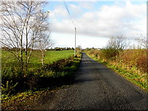 H5375 : Fernagh Road, Drumnakilly by Kenneth  Allen