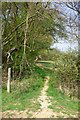 Footpath at corner of Skinsley Wood