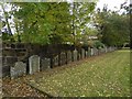 NS2477 : Chapel Street Burial Ground: eastern boundary by Lairich Rig