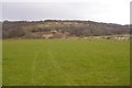 NR8658 : Field by Glenreasdell Mains by Richard Webb