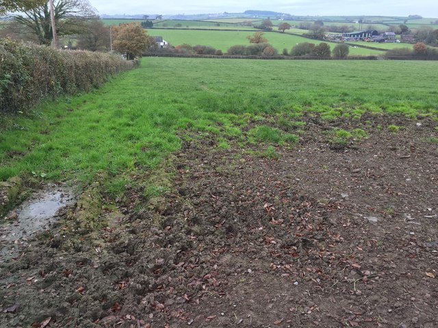 Field Boundary © Alan Hughes cc-by-sa/2.0 :: Geograph Britain and Ireland