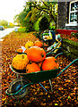 Leftover pumpkins, Fingerpost Farm, Norley