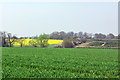 TL6116 : View west over fields by Robin Webster