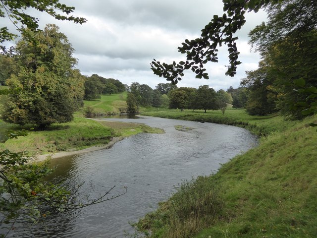 River Kent In Levens Park © David Smith Cc-by-sa 2.0 :: Geograph 