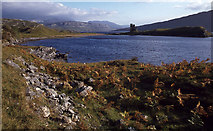 NC2323 : Loch Assynt by Ian Taylor