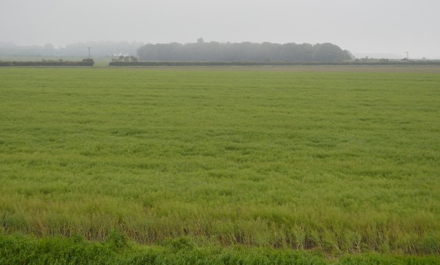 arable-land-n-chadwick-cc-by-sa-2-0-geograph-britain-and-ireland