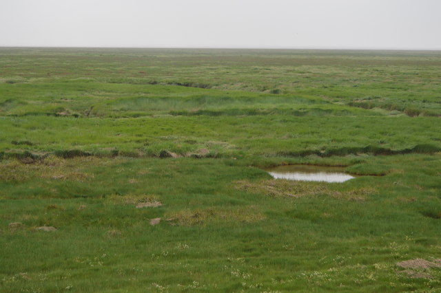 Marshes, The Wash