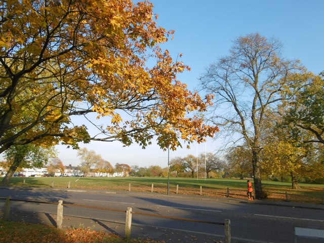 Plumstead Common in autumn © Marathon cc-by-sa/2.0 :: Geograph Britain ...