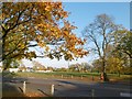 Plumstead Common in autumn