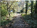 Steps down from Winns Common