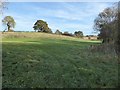 Farmland beside the River Lodon