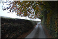 West Devon : Country Lane