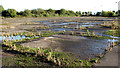 Disused WW2 runway