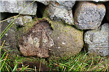 SD7674 : Benchmark on stone in wall SE of Simon Fell by Roger Templeman