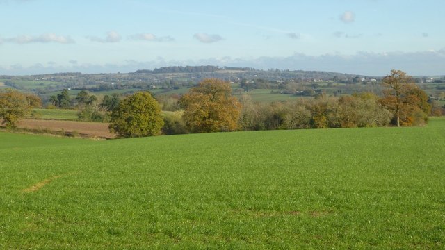 View to the Bromyard Downs © Philip Halling :: Geograph Britain and Ireland