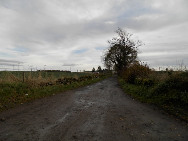 Track to Mains of Brigton