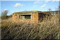 SU5893 : Pill box NW of Shillingford by Roger Templeman