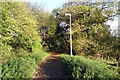 Carmarthen cyclepath