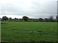 Grassland near Saighton Hall Farm