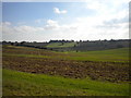 Fields north east of Wood Farm