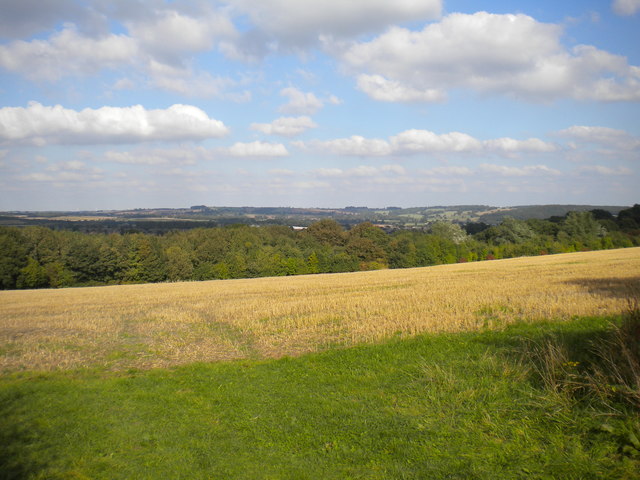 Field south west of Calverton (2)