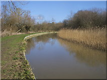 SP4925 : Oxford Canal Walk by Shaun Ferguson