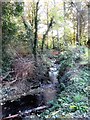 Stream above the Mound Road bridge