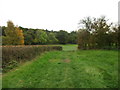 Byway to Wappenham Lodge