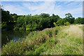 The River Avon near Bathampton