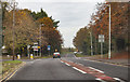 Autumn colours on A159 Morton Road