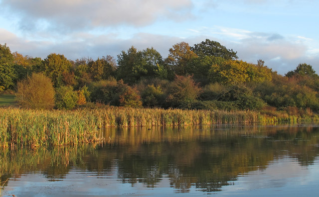 View from Bedfords Lake, Bedfords Park, Havering-atte-Bower