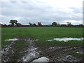 Muddy field near Breeze Hill